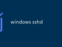 windows sshd-路由网