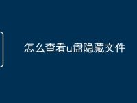 怎么查看u盘隐藏文件-路由网