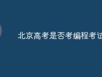 北京高考是否考编程考试-路由网