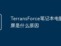 TerransForce笔记本电脑蓝屏是什么原因-路由网
