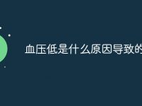 血压低是什么原因导致的-路由网
