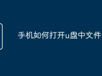 手机如何打开u盘中文件-路由网