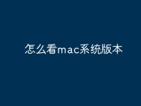 怎么看mac系统版本-路由网