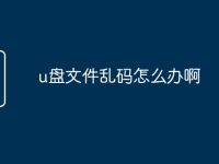 u盘文件乱码怎么办啊-路由网
