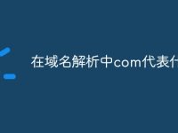 在域名解析中com代表什么-路由网