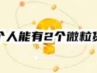 一个人能有2个微粒贷吗?三点原因告诉你答案-路由网