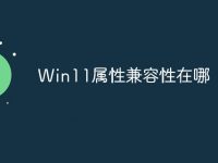 Win11属性兼容性在哪-路由网