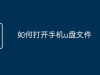 如何打开手机u盘文件-路由网